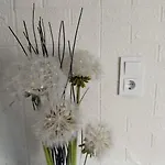 In Salzkammergut Apartamento Attnang-Puchheim