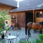 In Salzkammergut * Attnang-Puchheim